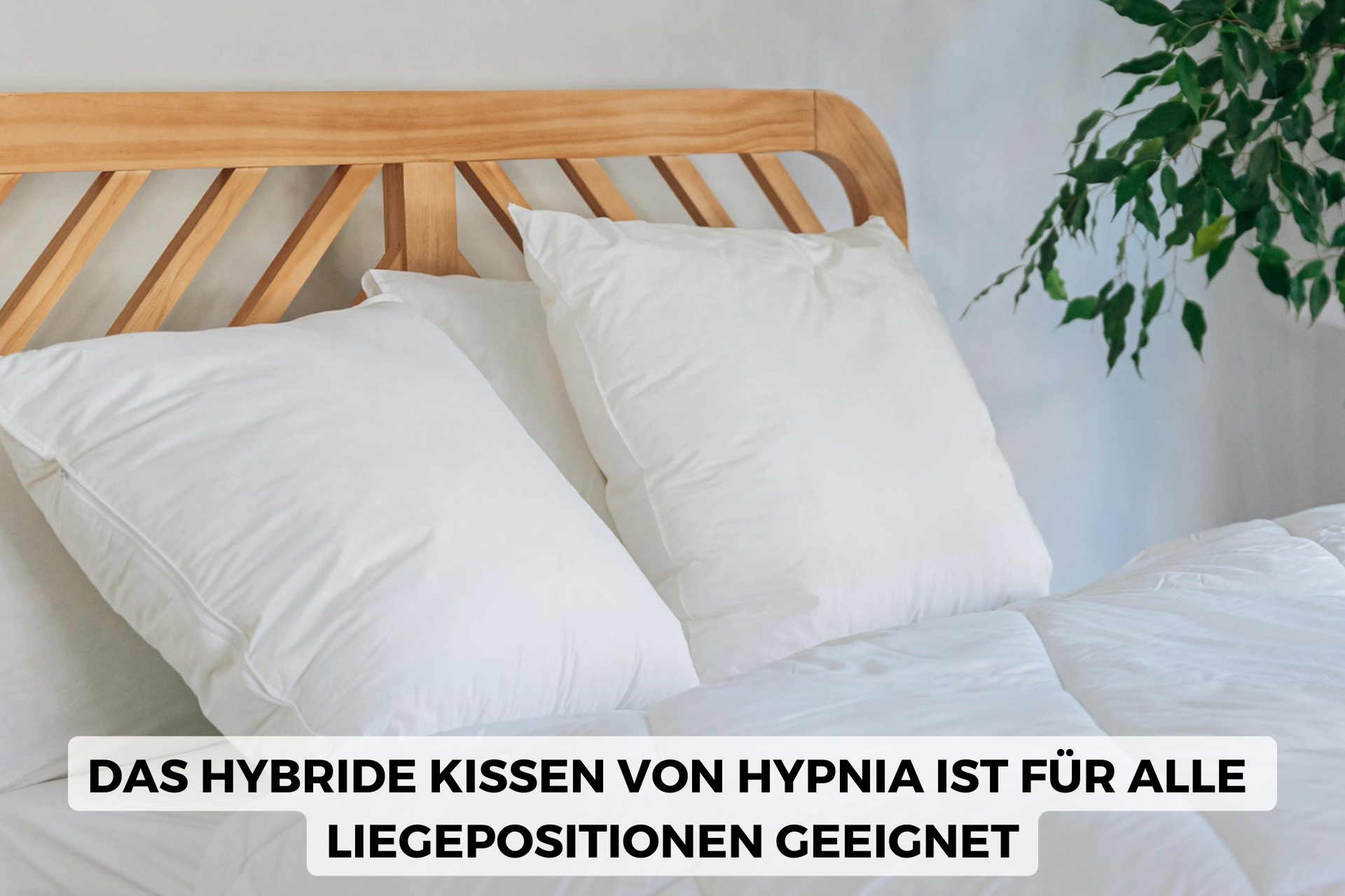 Hypnia  Hybrides Kissen